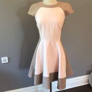 Ted baker 50s style dress! Never worn!
